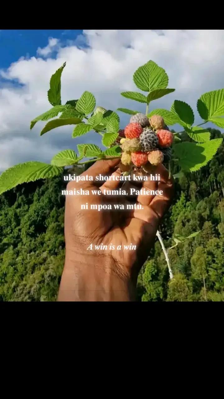@⚡✨@Denshakorio💋✨🌸