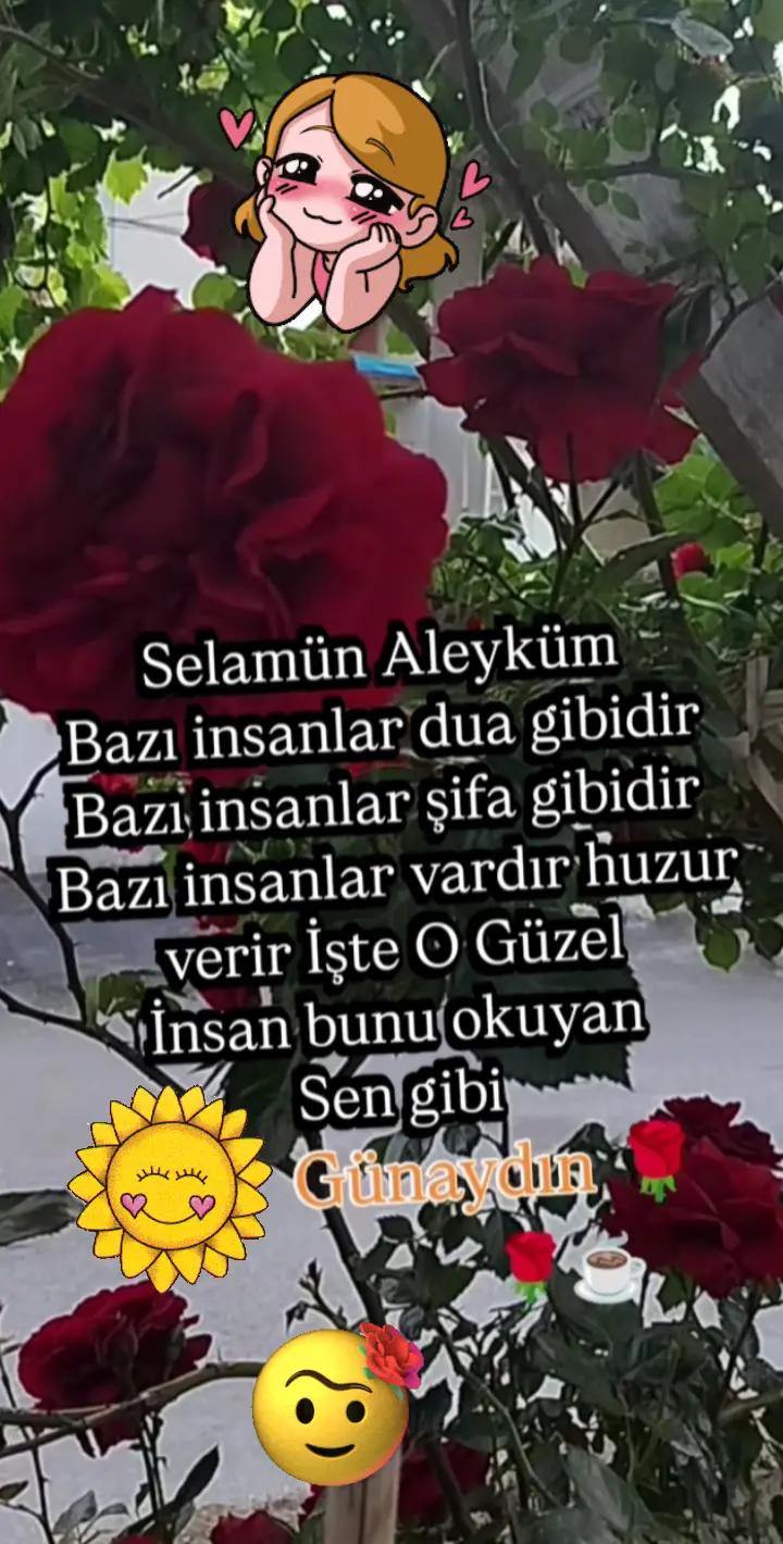 @Serpil G&uuml;neş