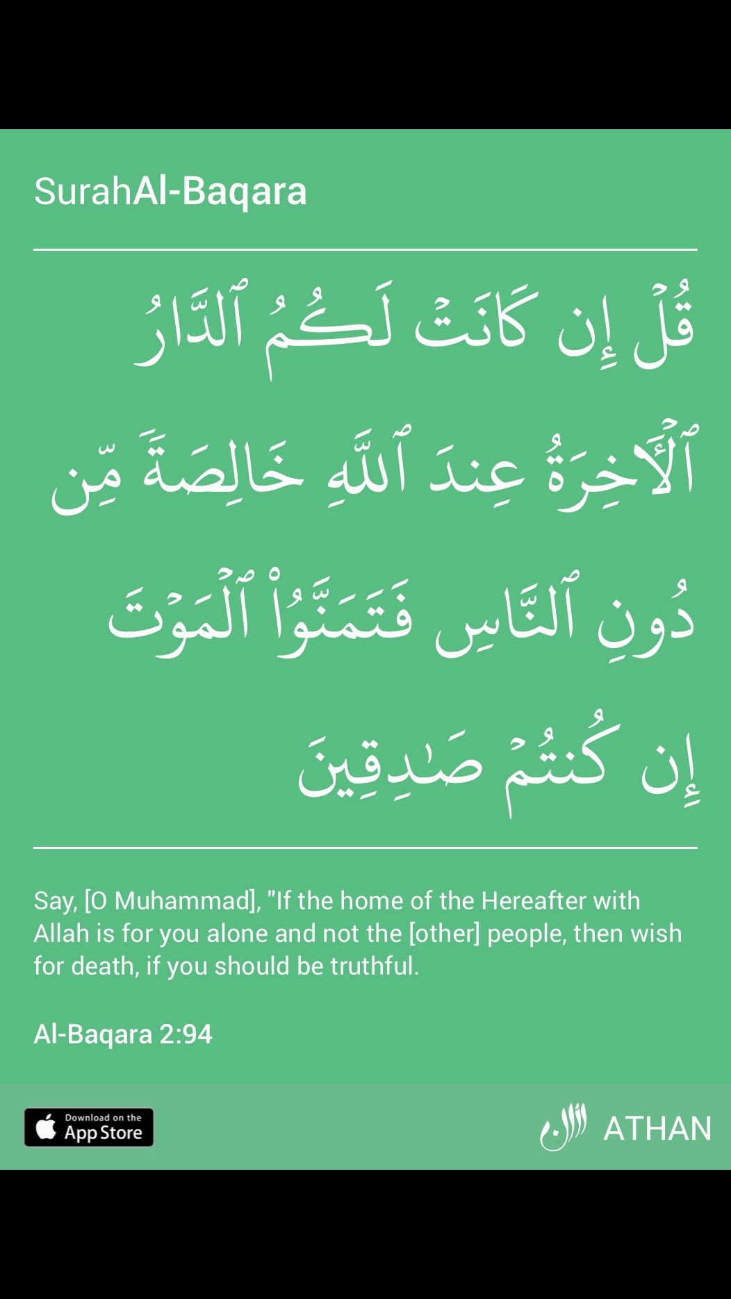 @Mohammedi F Habib