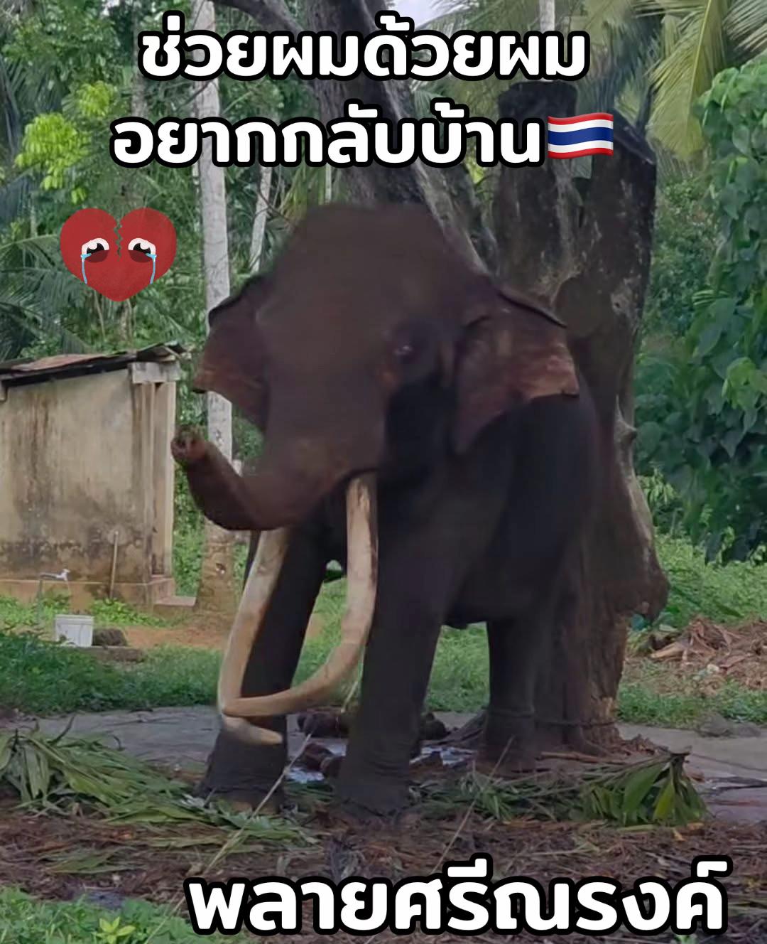 @Animal lover🫶💕