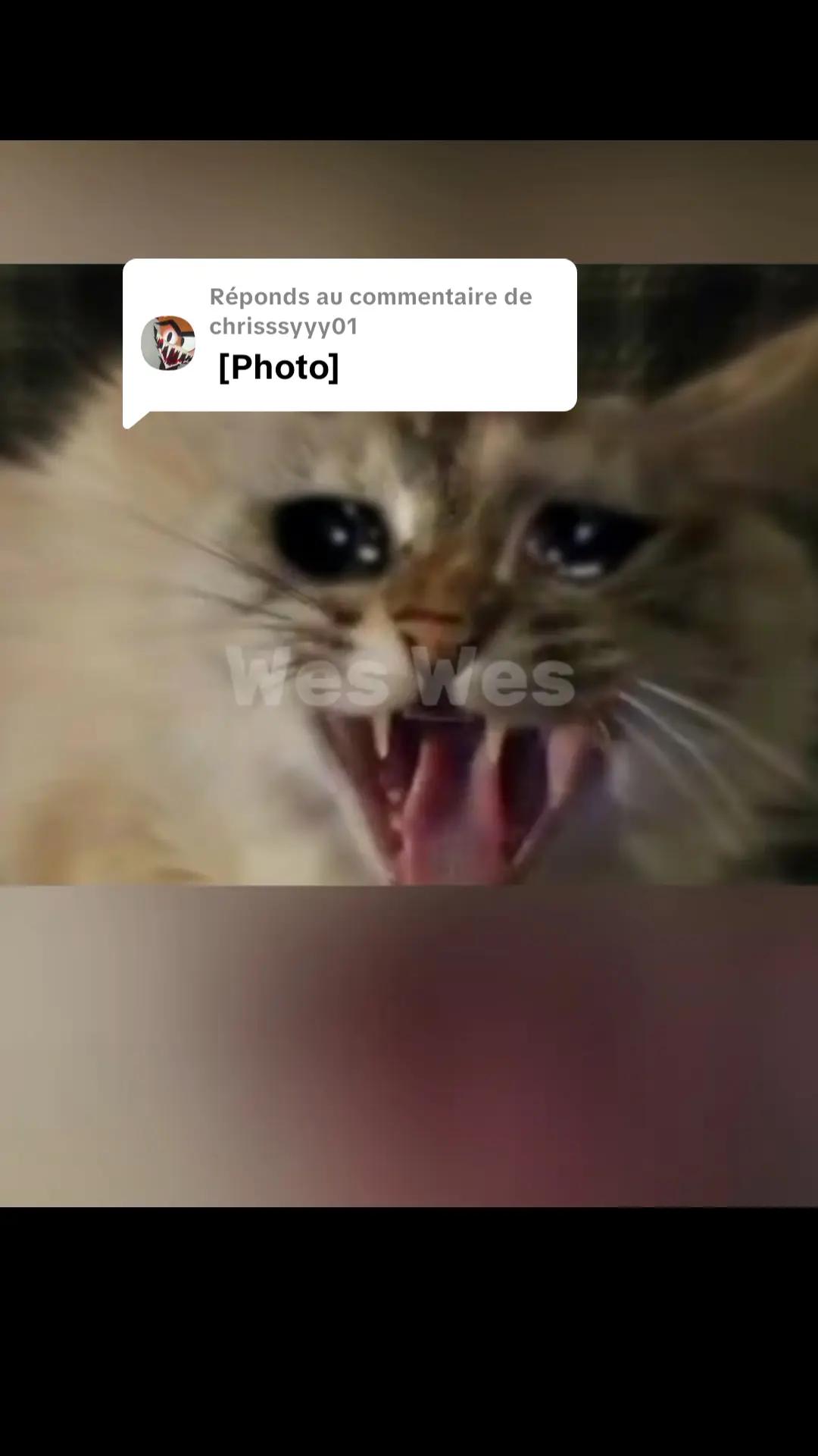 @Mad_ChadOfficial