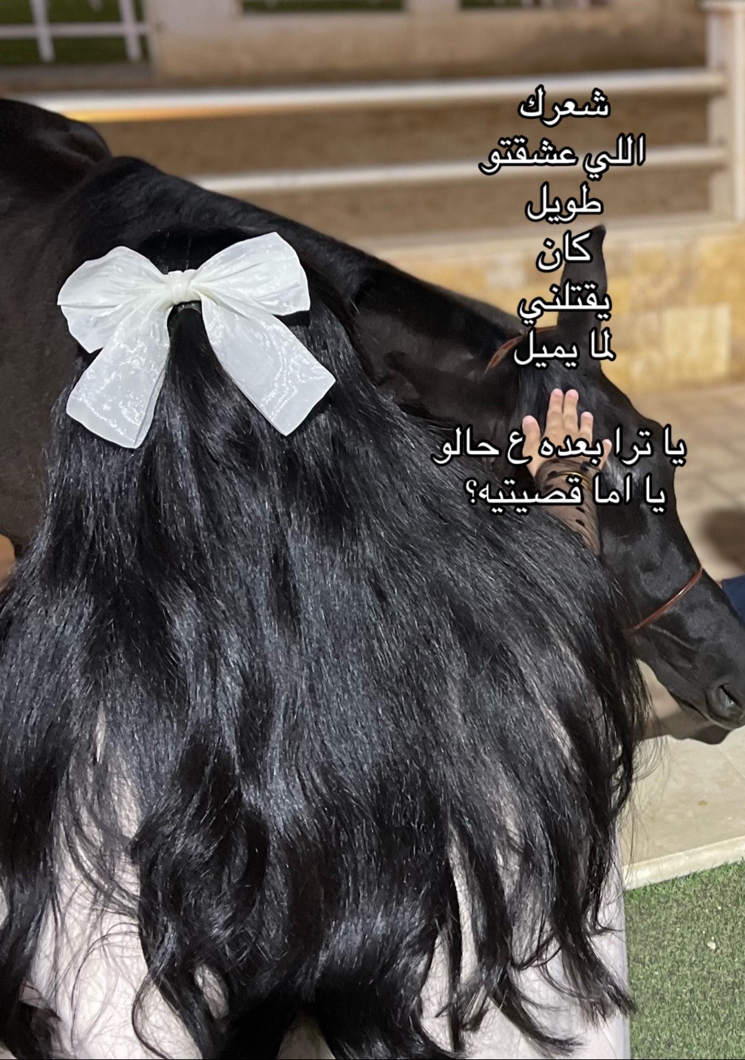 @𝑻𝒂𝒍𝒆𝒆𝒏 🌴✨