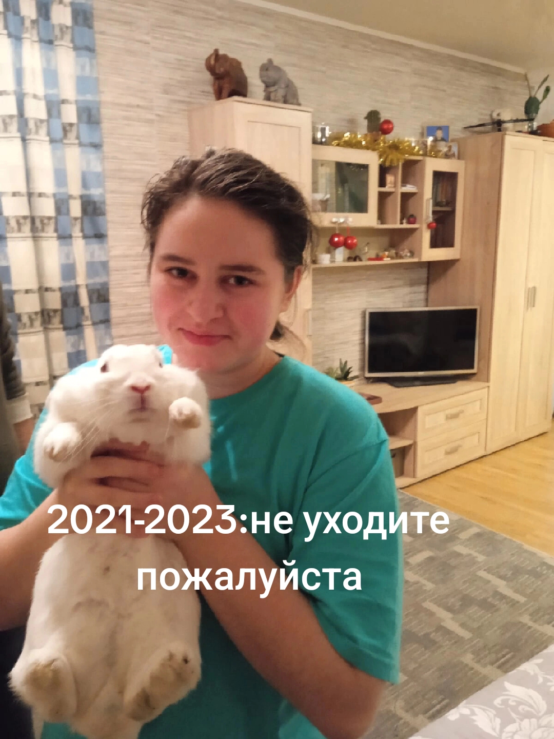 @oazisss