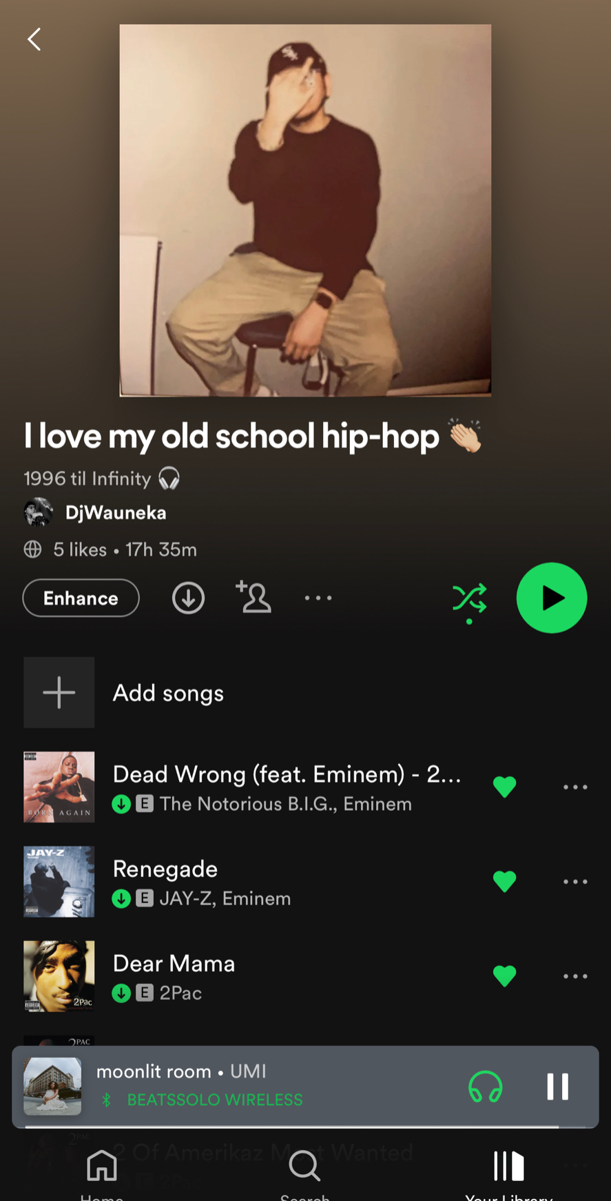 @dj1neka2