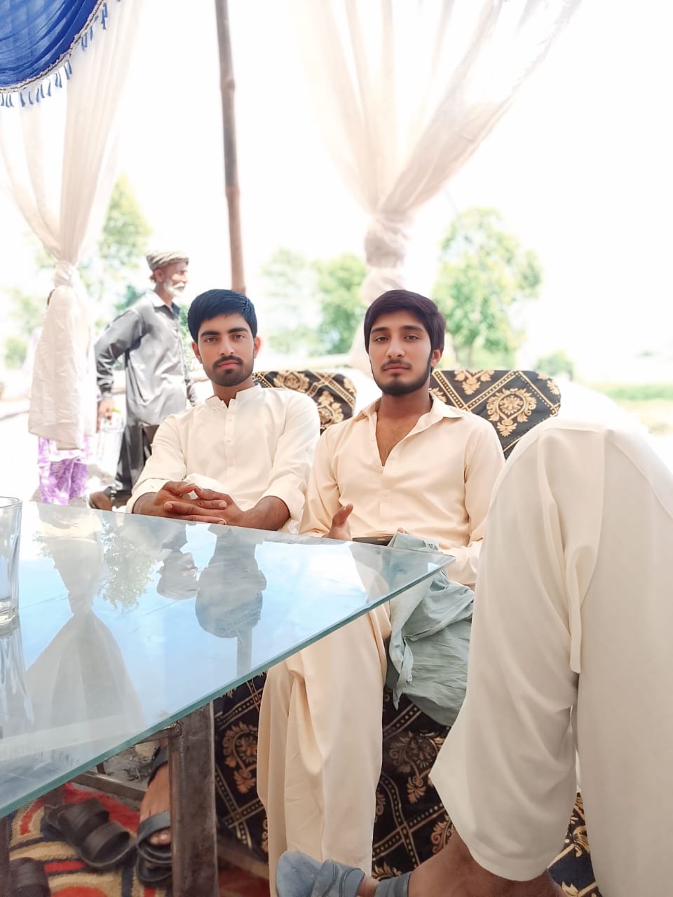 @qalab Abbas 736