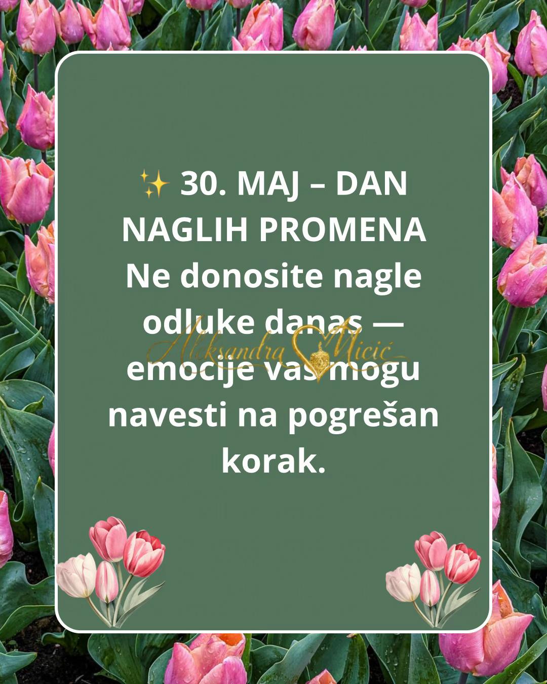 @Aleksandra Micic