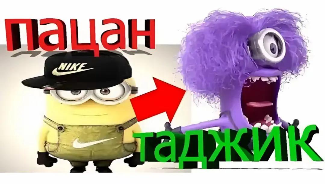 @halop