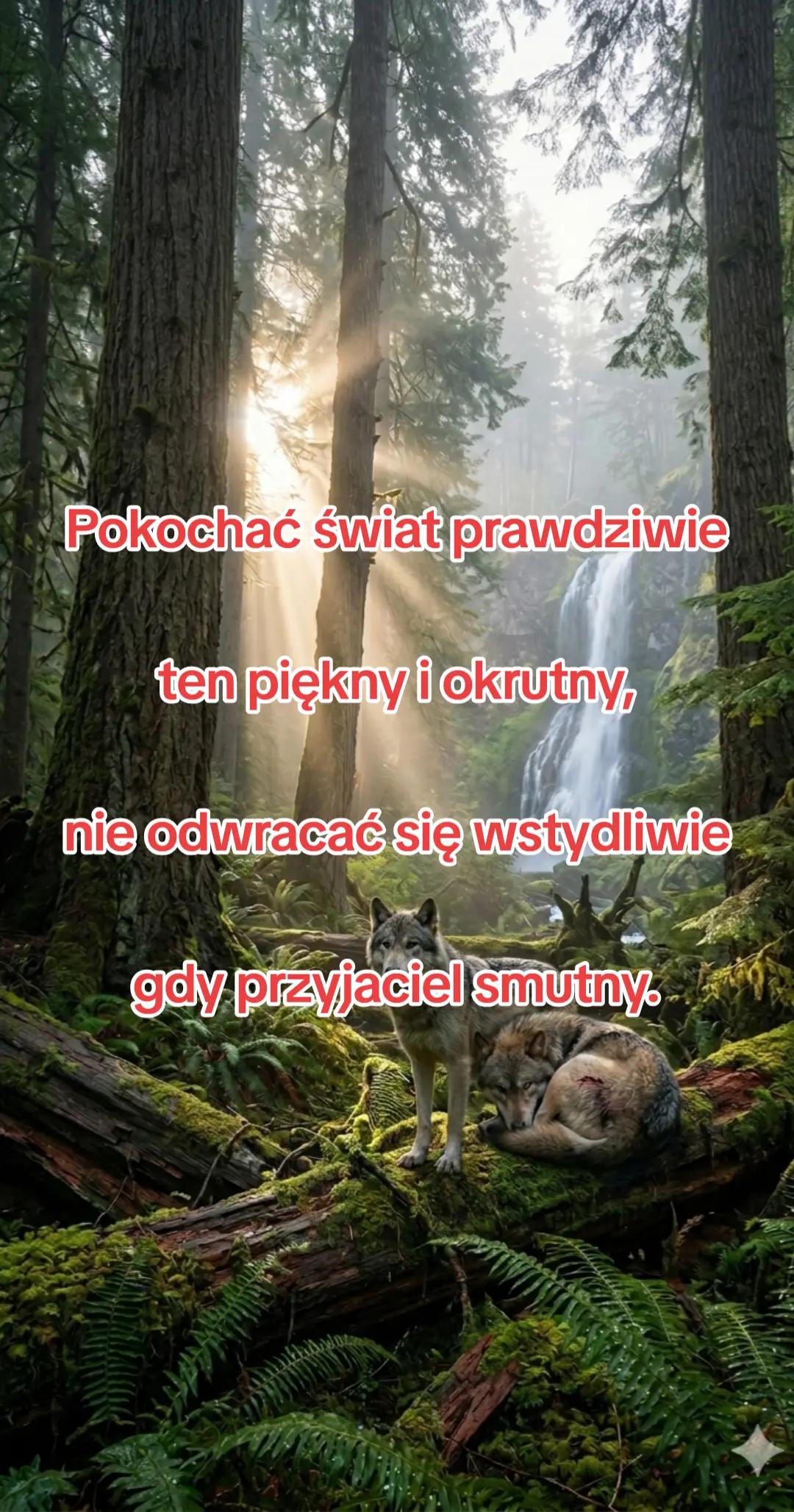 @Poezja Polska