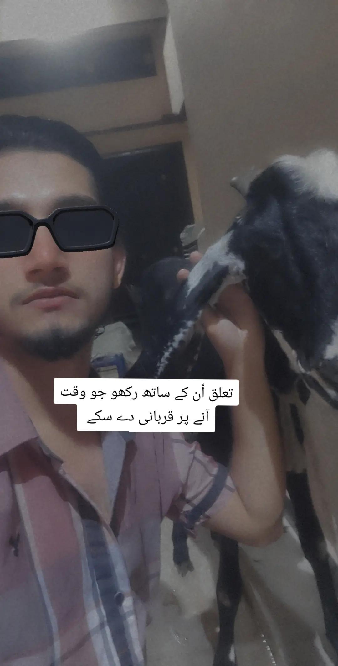@️Sammii🐺