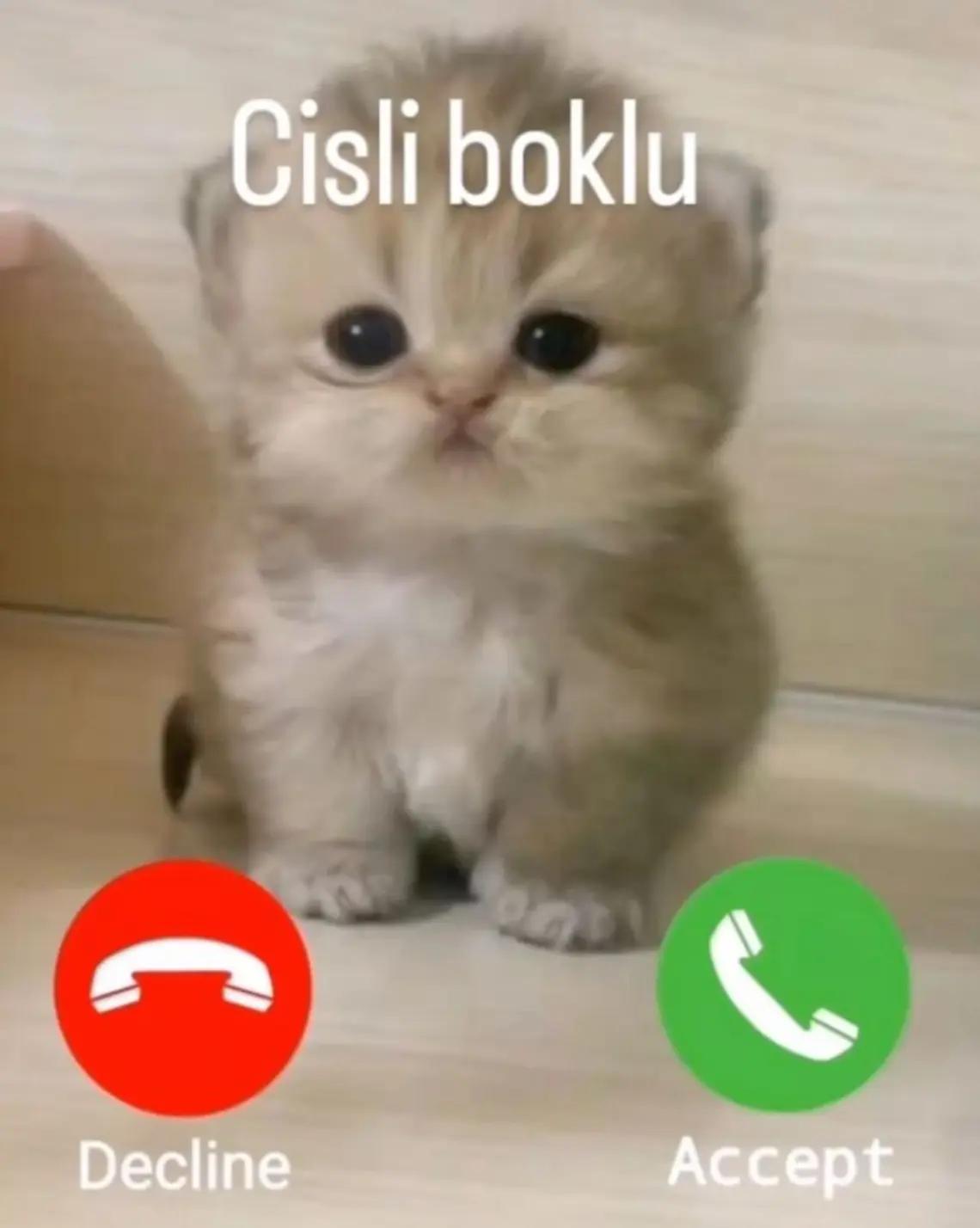 @Eunoiaꉂ૮(&deg;□&deg;'˶)ა