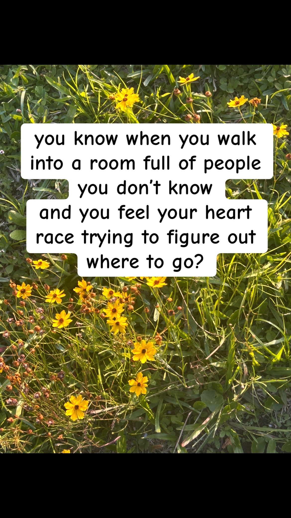 @lyndsey lou 🌻