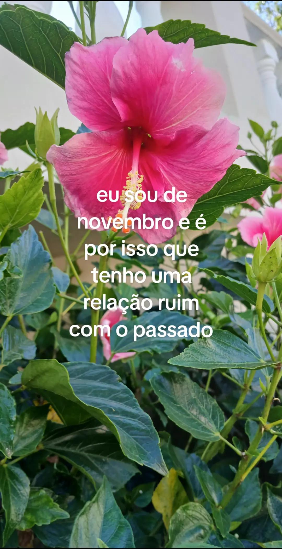 @sah⁷