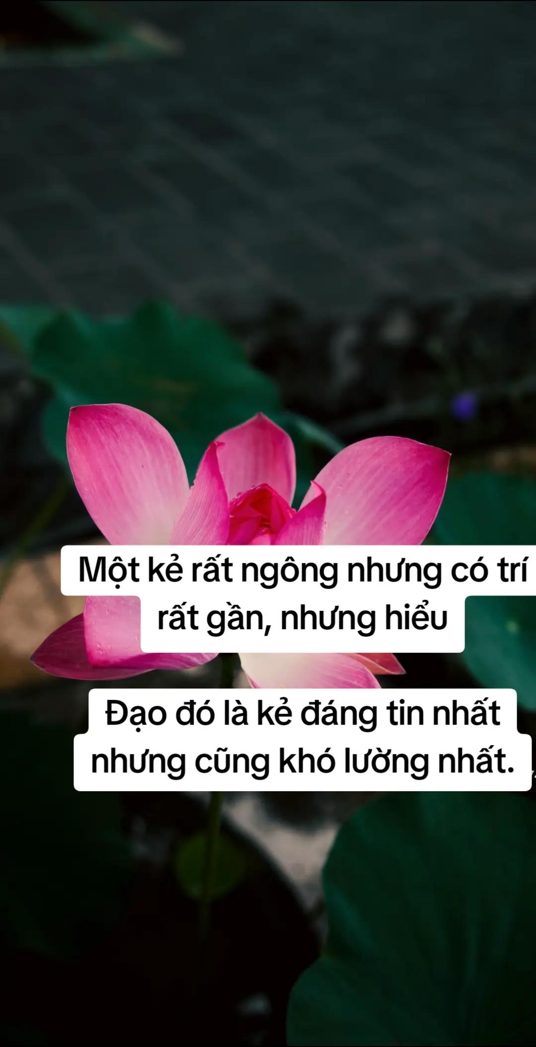@Hồng Nguyệt
