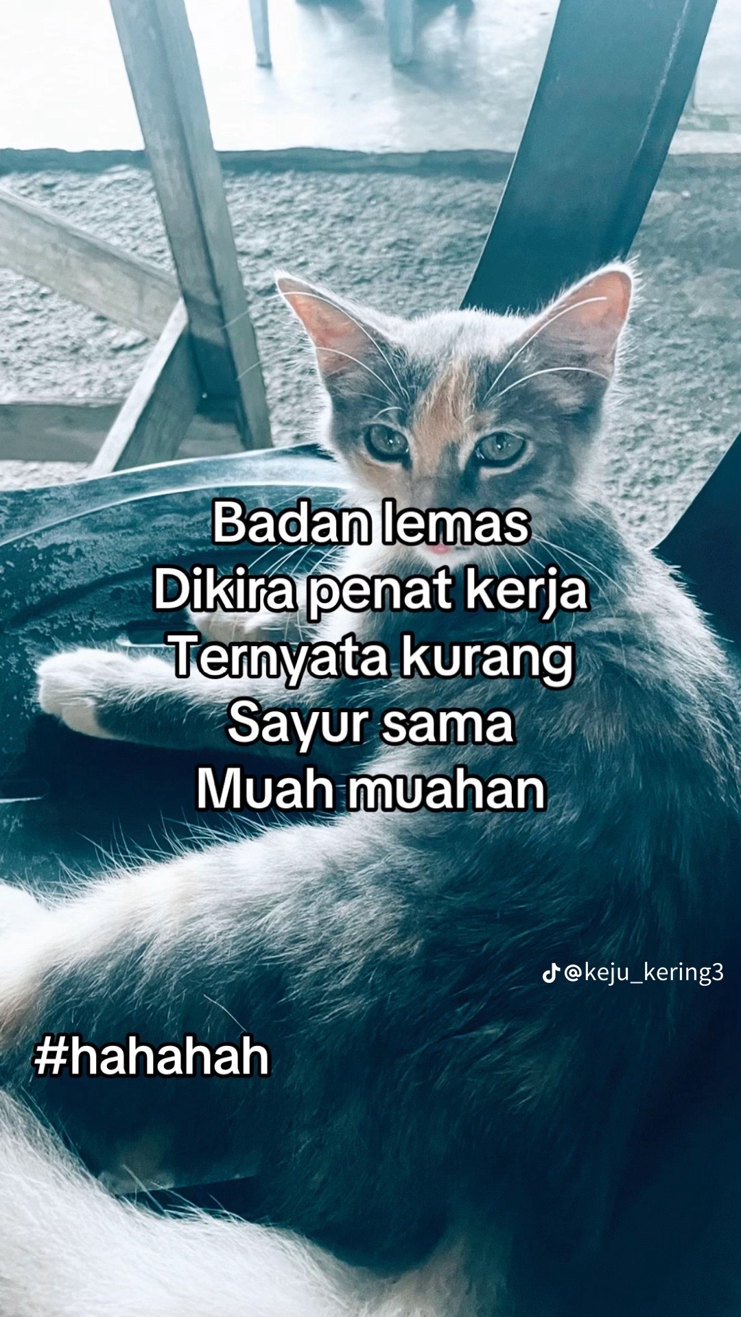 @ixnazzz