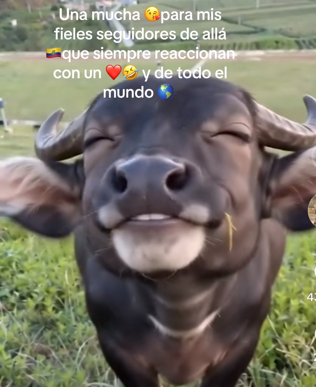 @Maria Cabrera