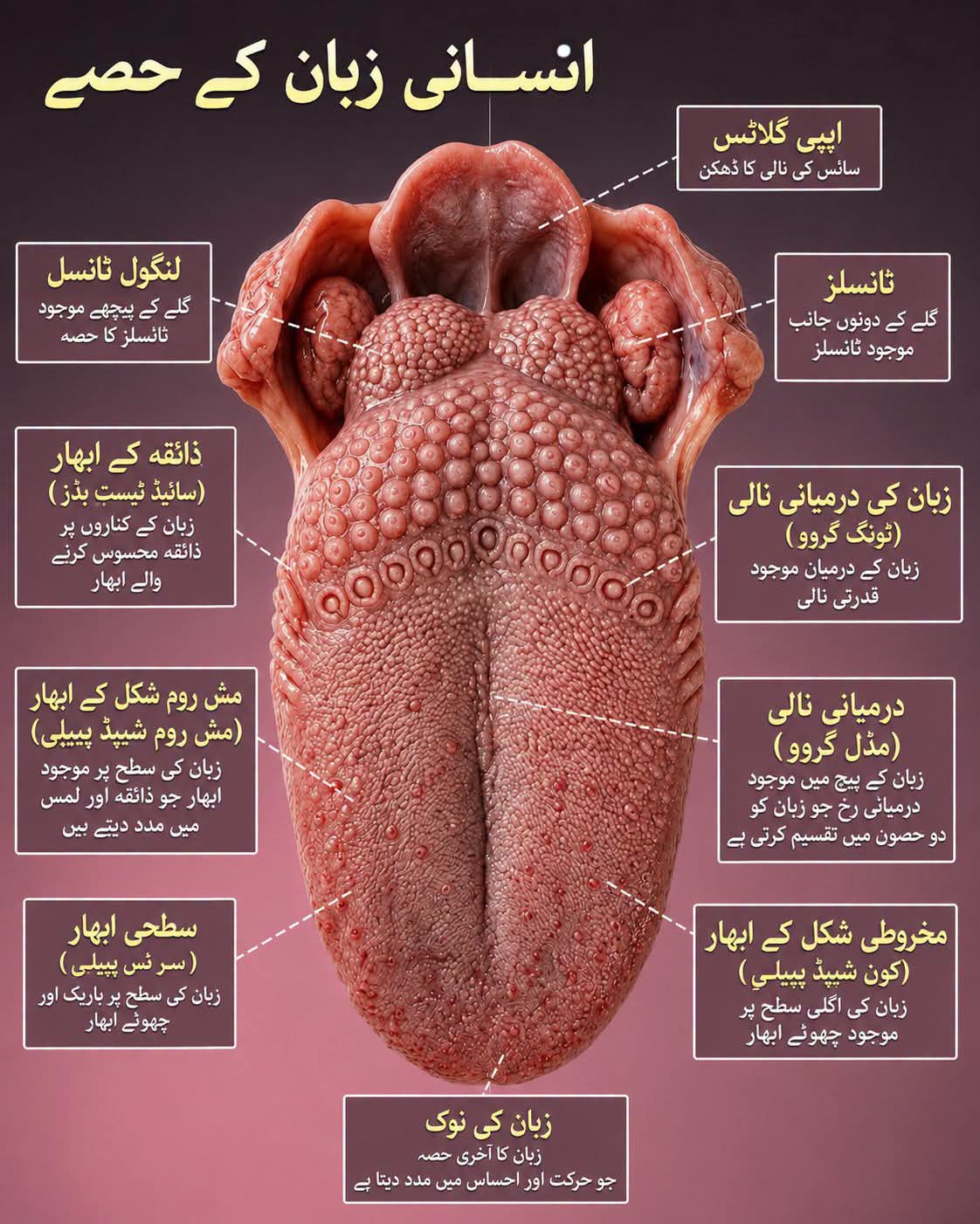 @Farooq Achakzai