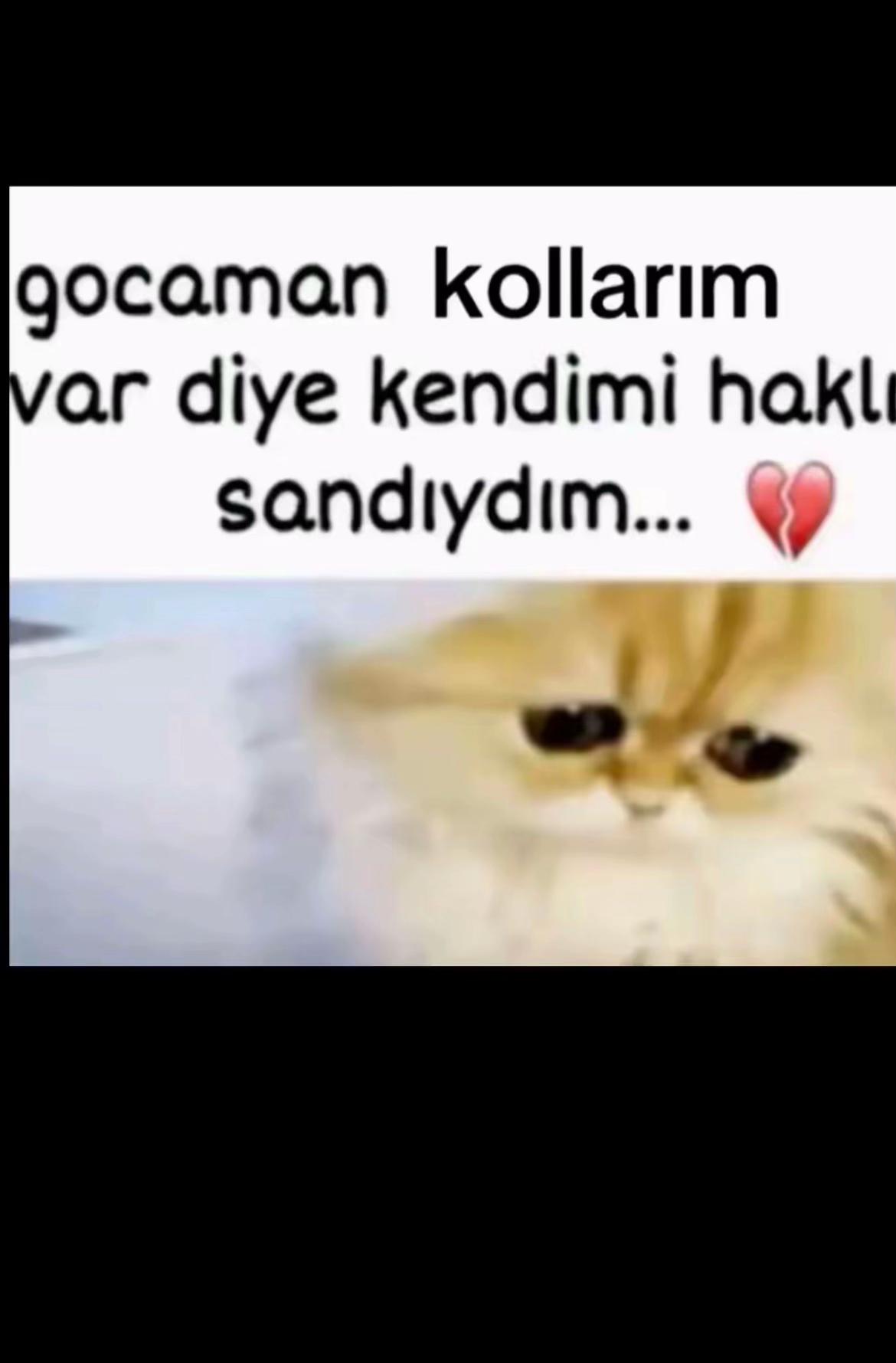 @Cagrihatap