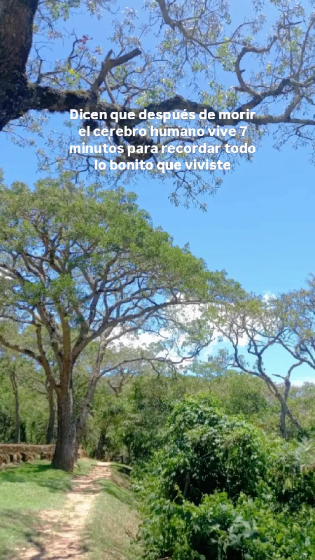 @Karen Dias