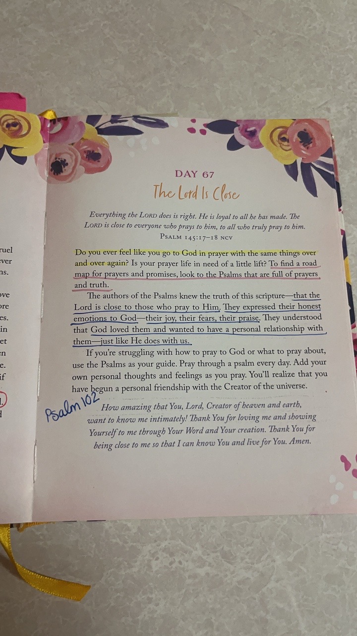 @Lisa Bogard (Bible Verse Lady)