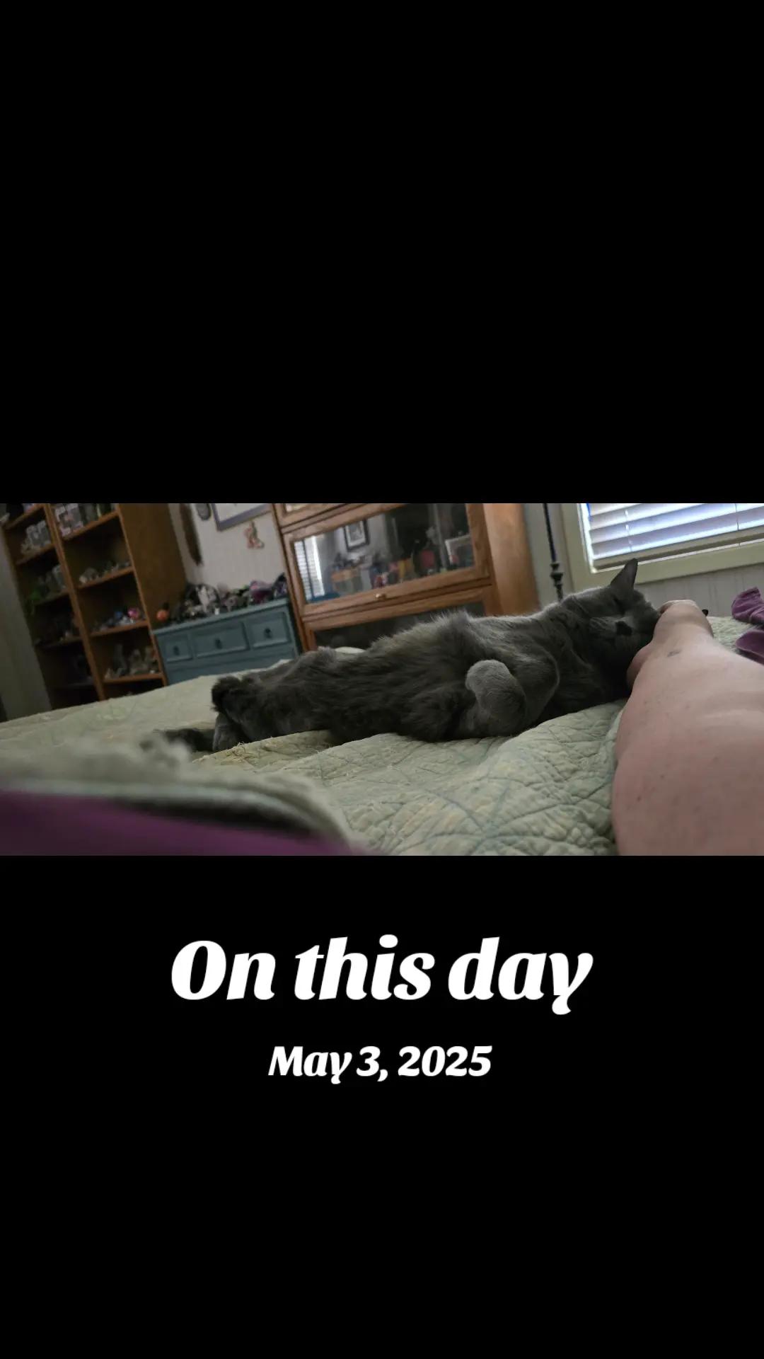 @Not_Just_Nichole/Srehn