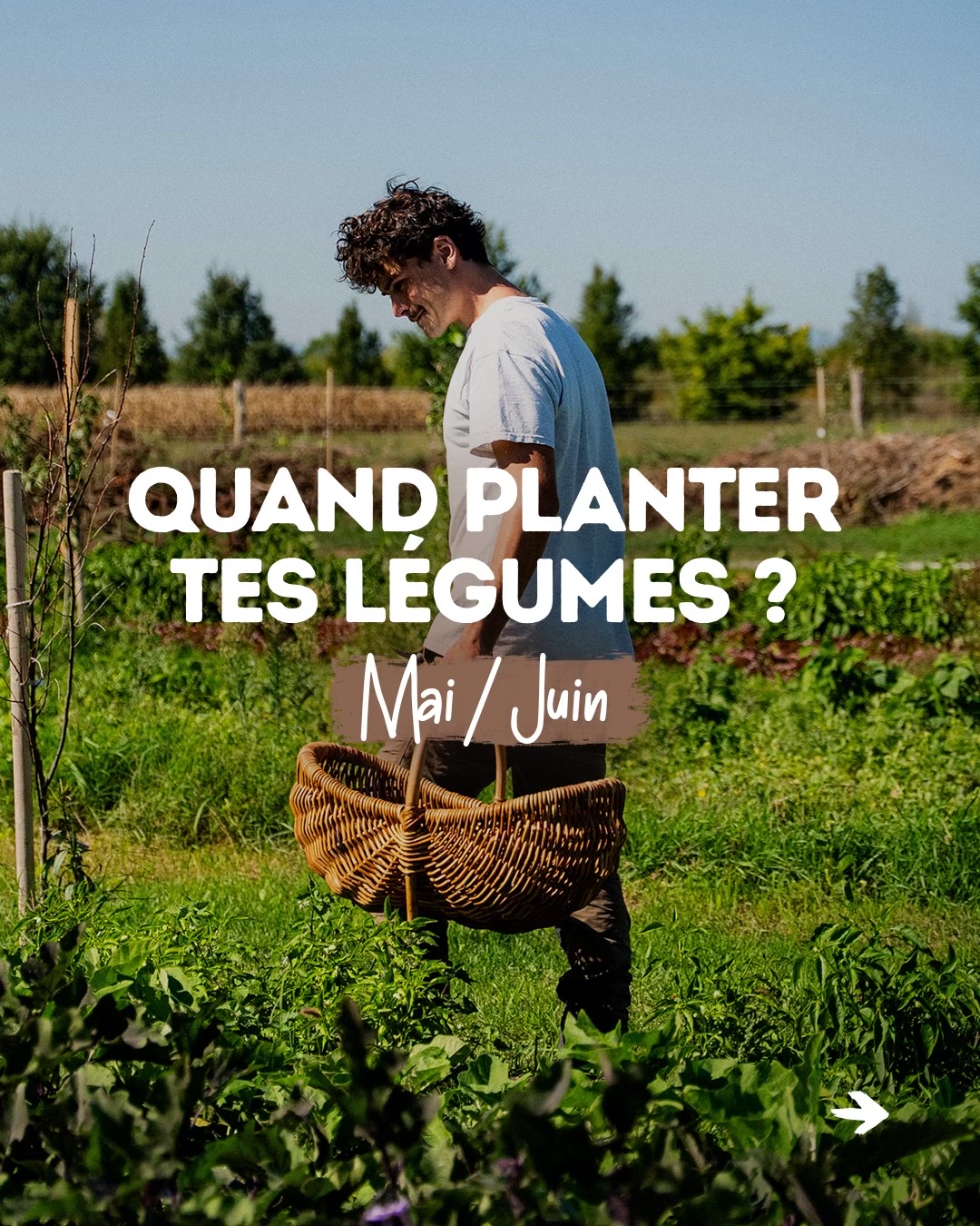 @Goran Le Permaculteur