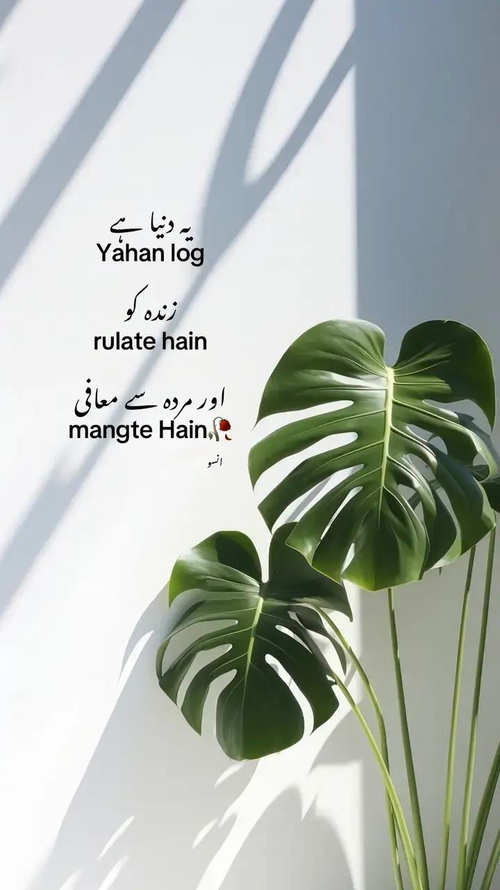 @REHANU.🍁