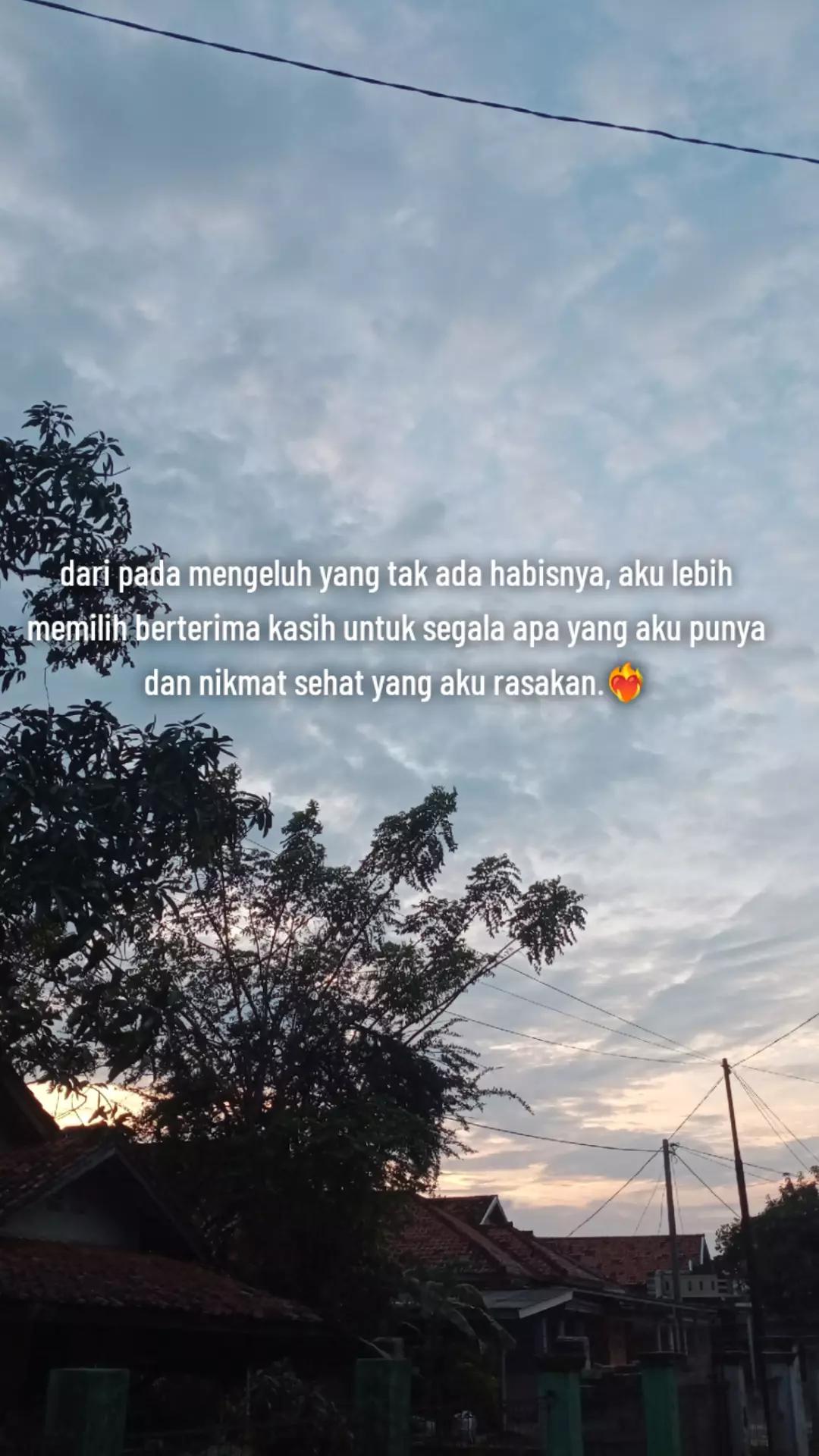 @Lotus🪷