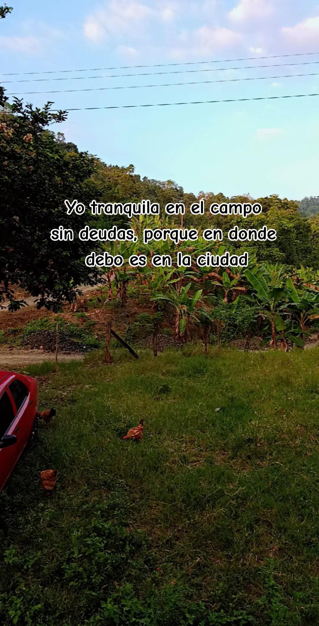 @Yulii.G28