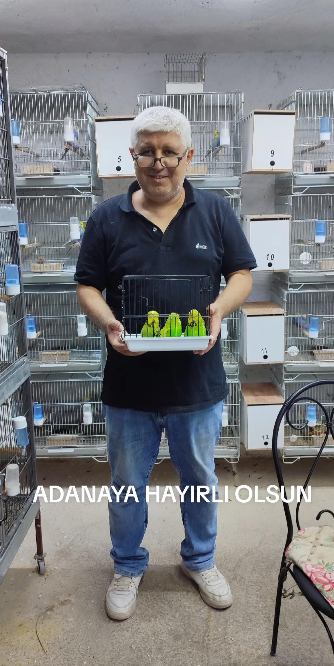 @MURAT ADIGÜZEL