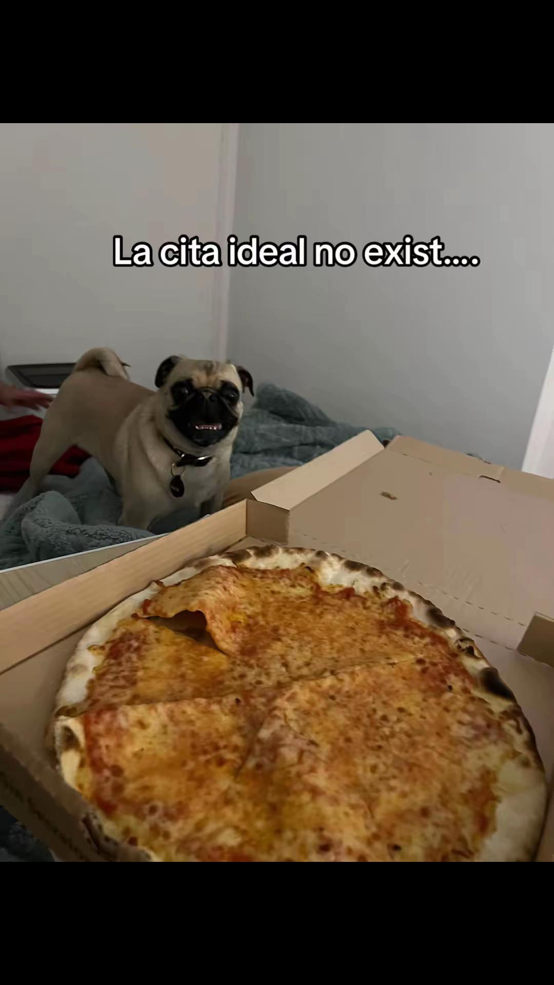 @Alexa&elcarnalchiss