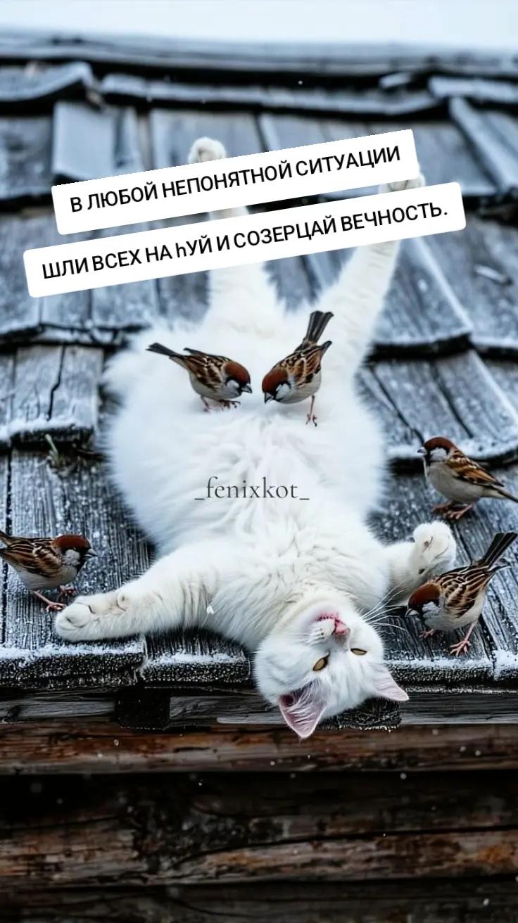 @La❤️koShka