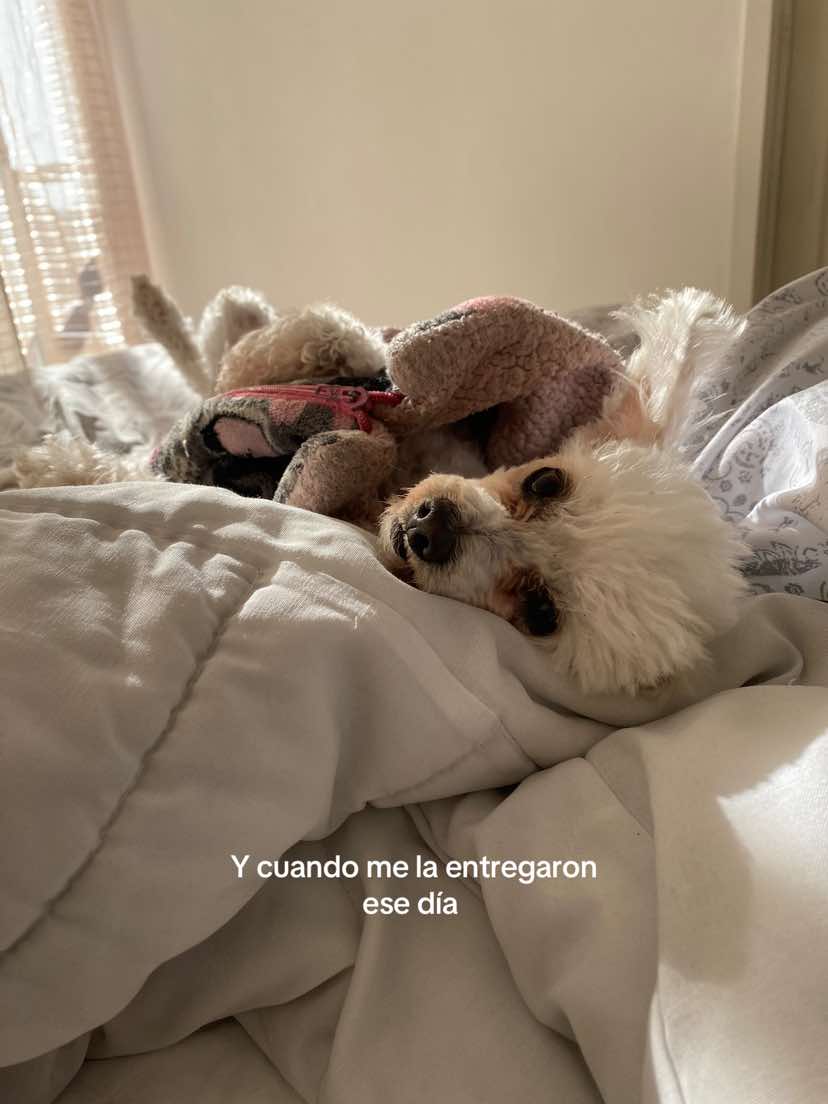 @Naomi Vargas