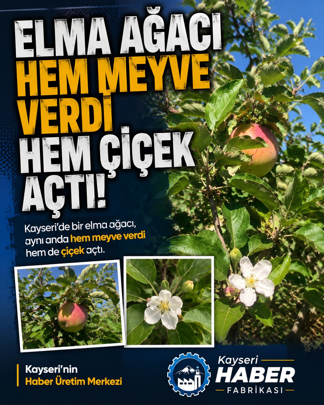 @Kayseri Haber Fabrikası