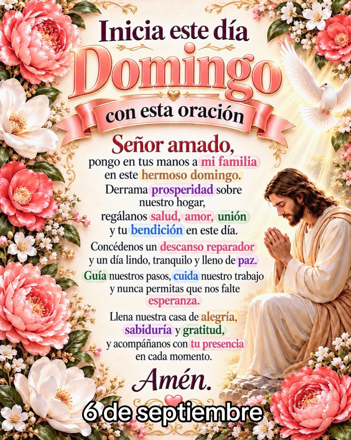 @8luisplaza8