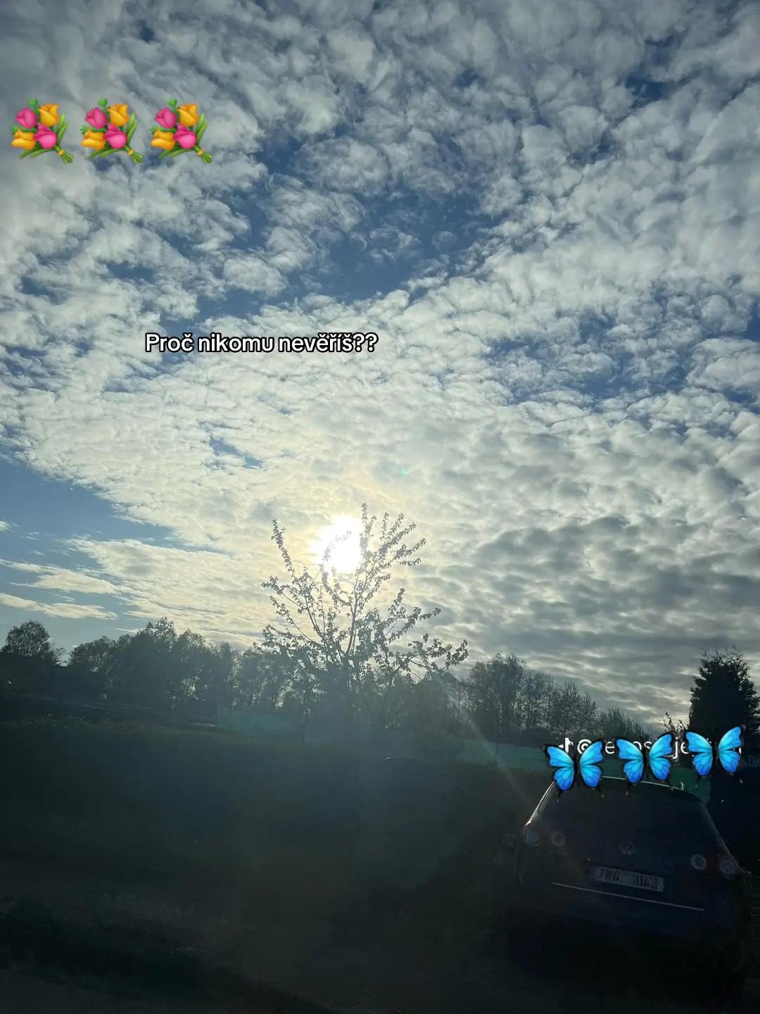 @❤Alexandra ❤Lojziova❤67🤩🤣