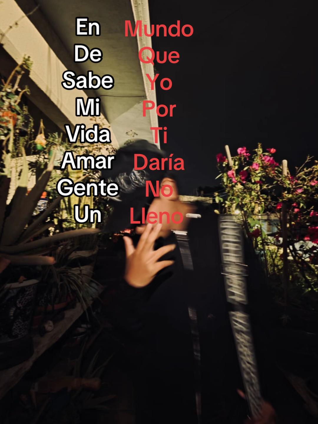 @Ceesar🕷️