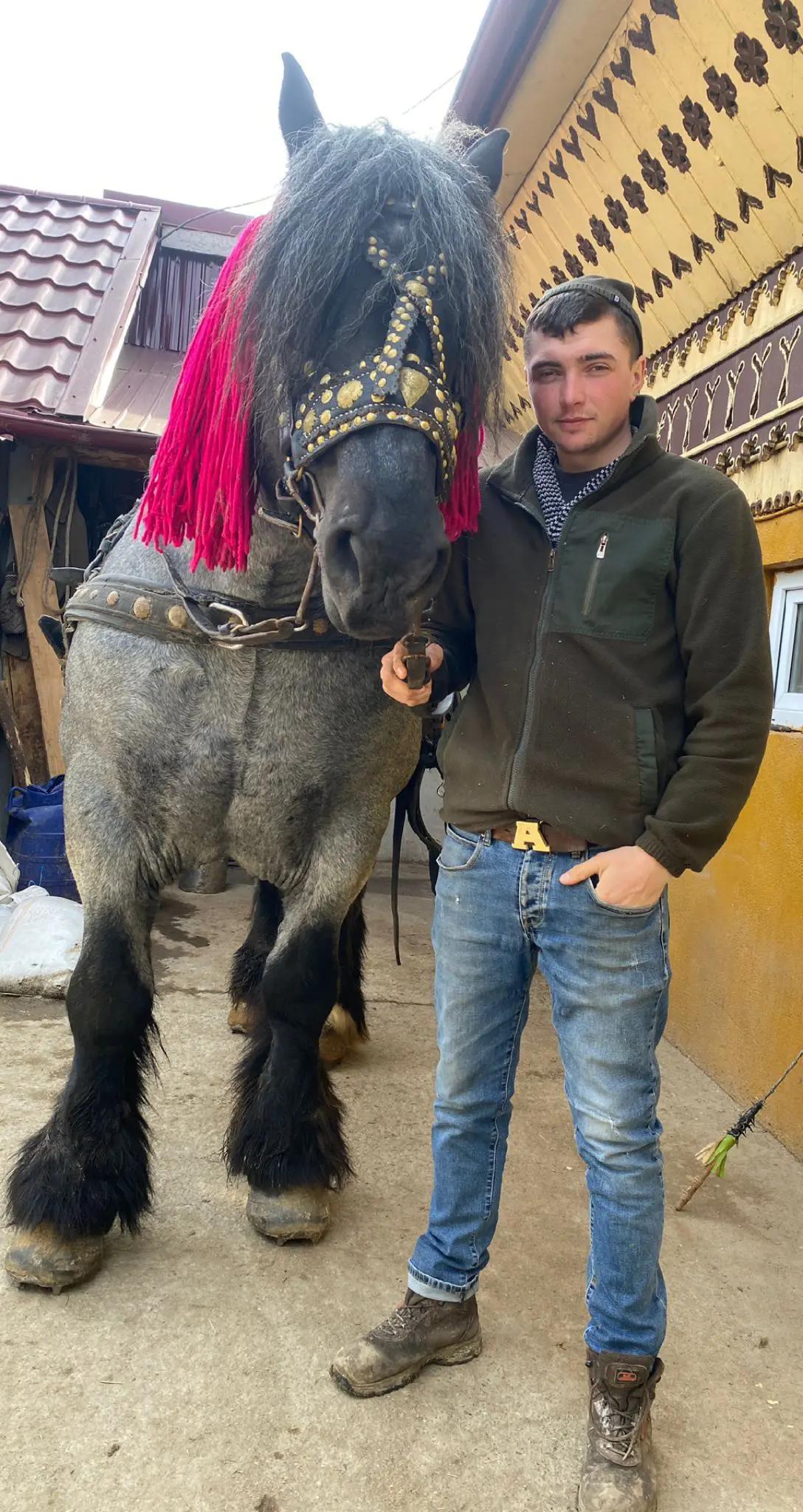 @Buga Ionuț