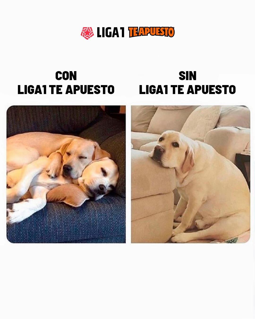 @Liga de Fútbol Profesional