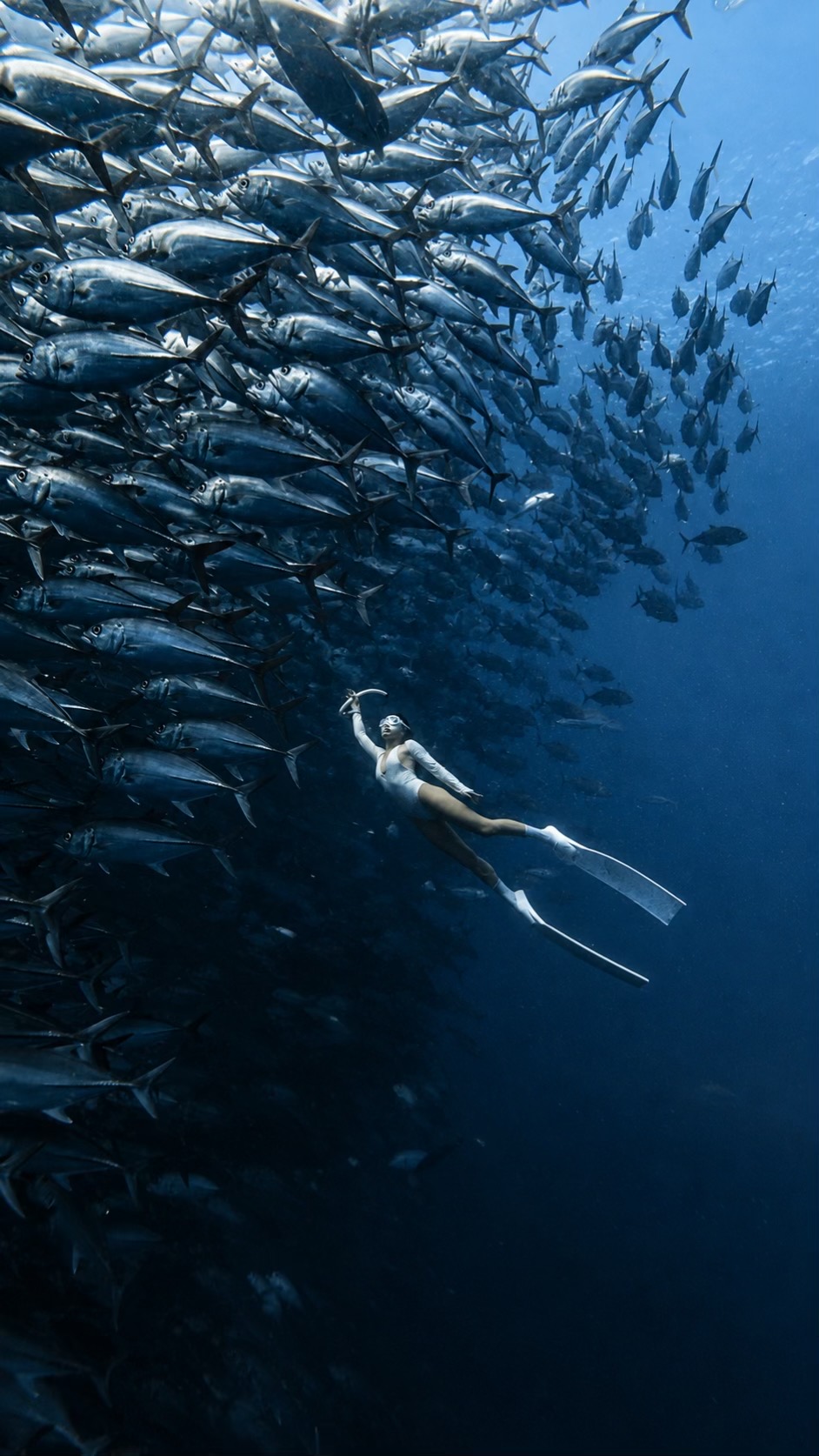 @Love Freediving Nha Trang