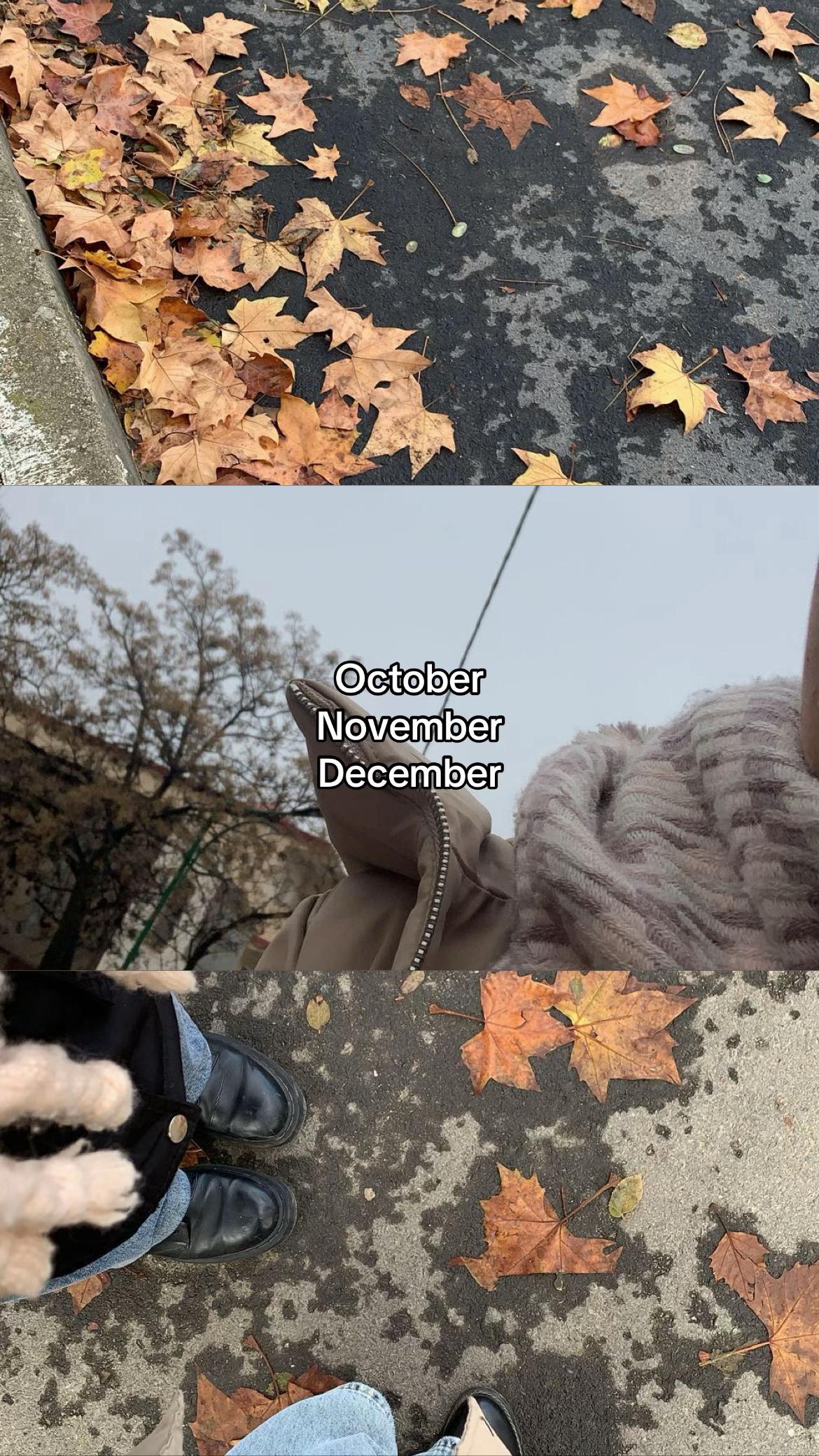 @silyyy🩷