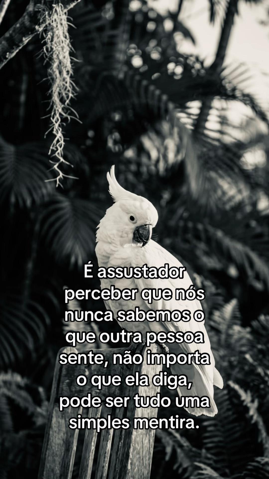 @junin 