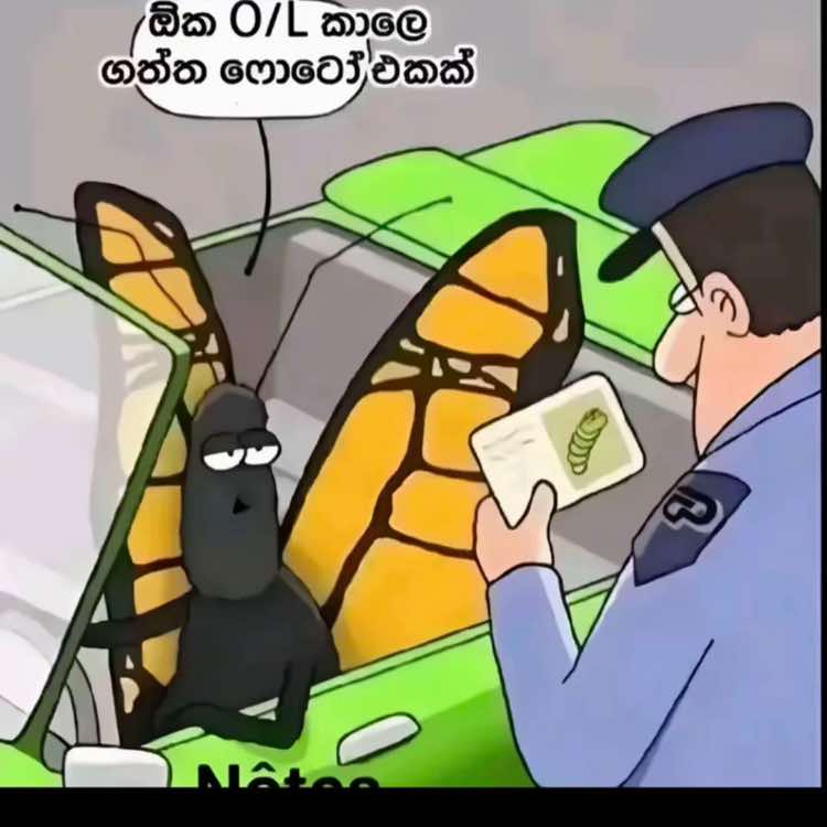@๐พ๐๐๐๐๐๐๐ ๐↔๏ธ๐ค