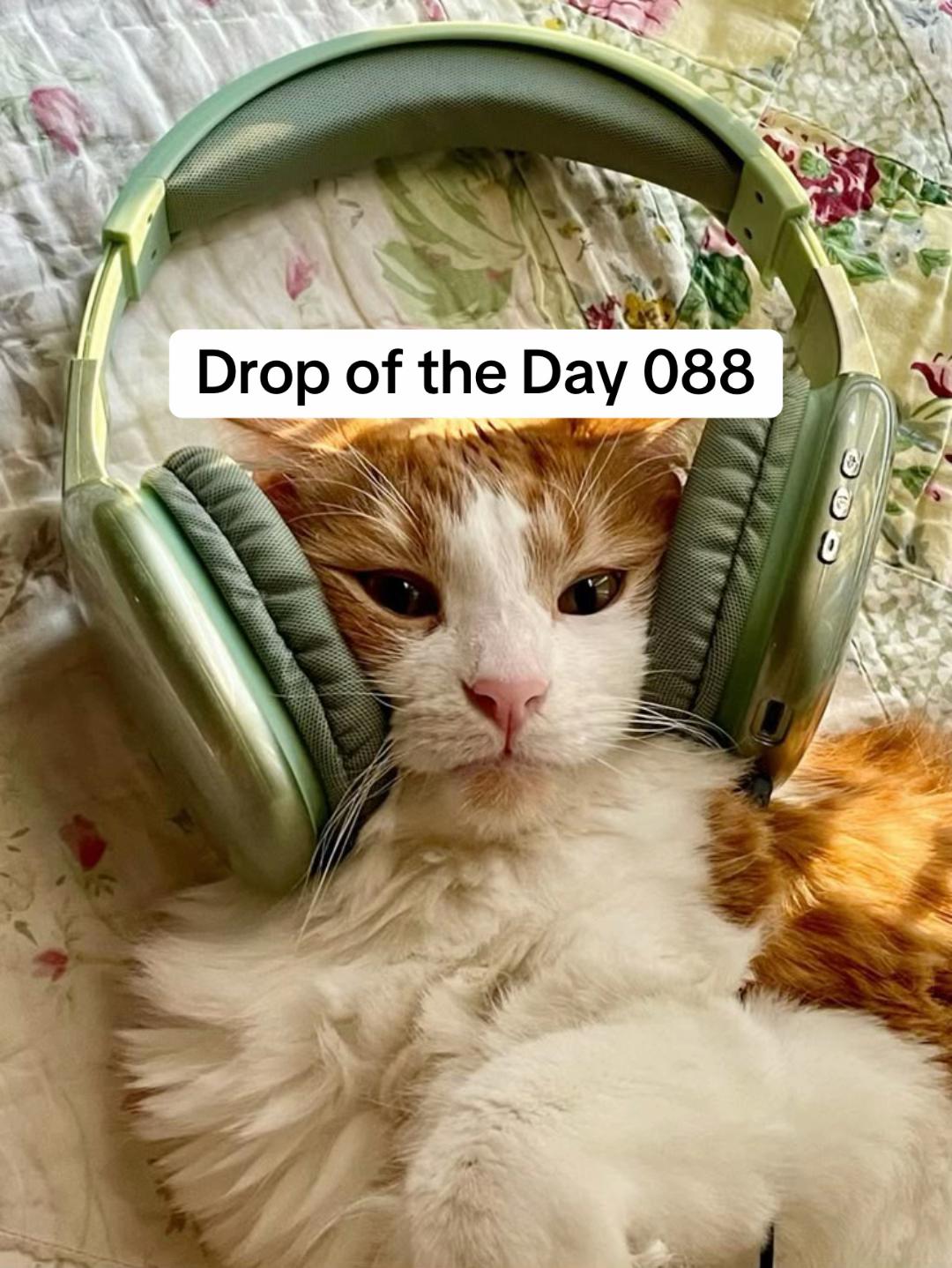 @Bass Hive