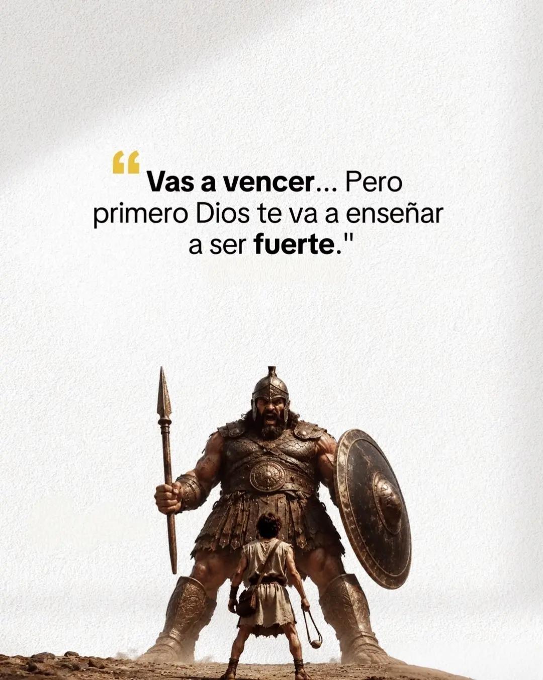 @Matias C