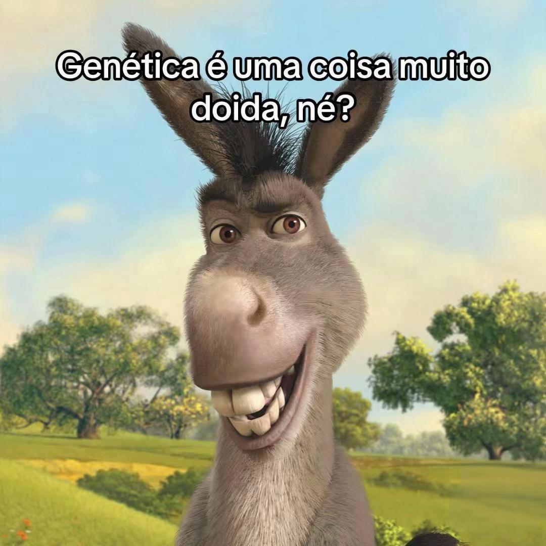 @Netflix Brasil