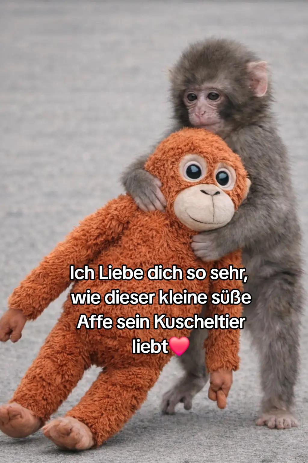 @Yvonne-Johanna &dagger;
