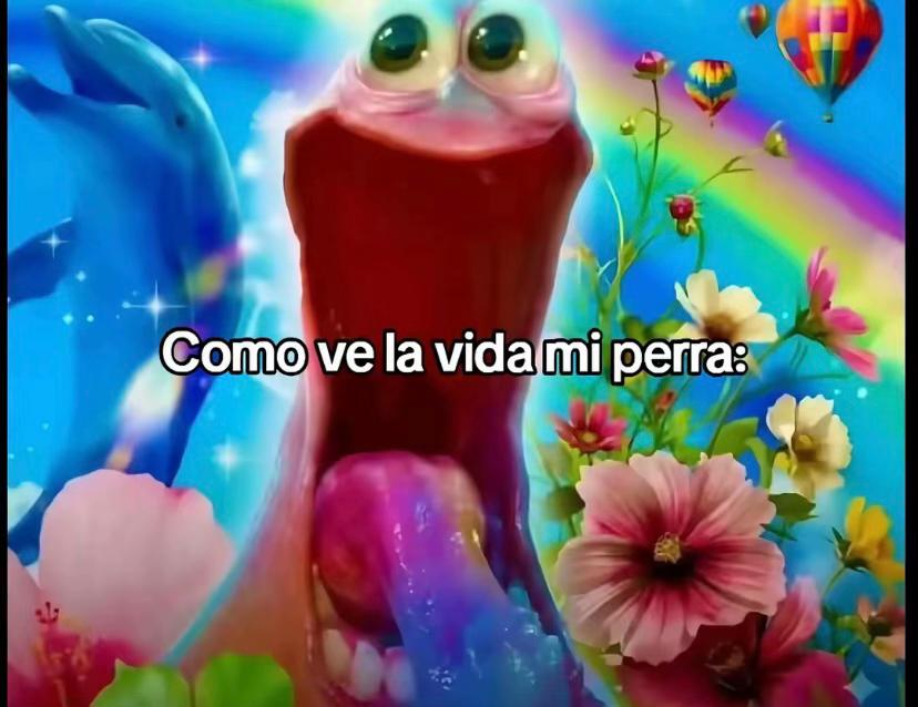 @Mica🐈⬛