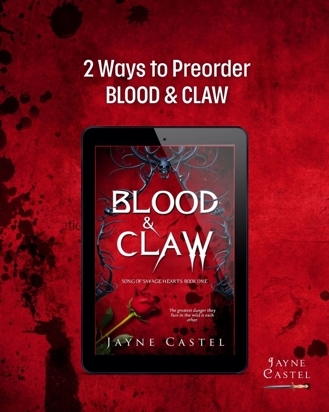@Jayne Castel Author