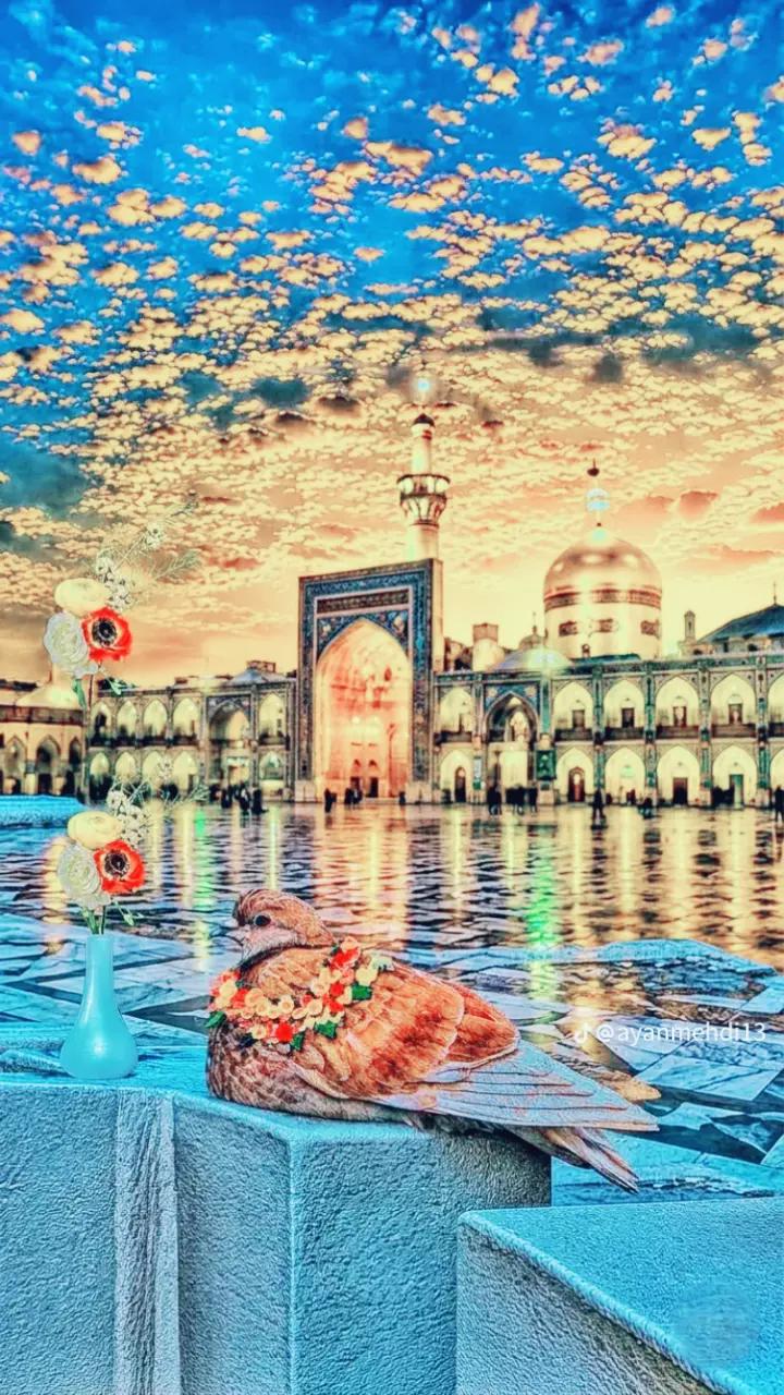 @Alqama king