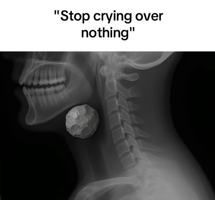 @𝖓𝖚𝖘𝖍𝖎𝖎✈